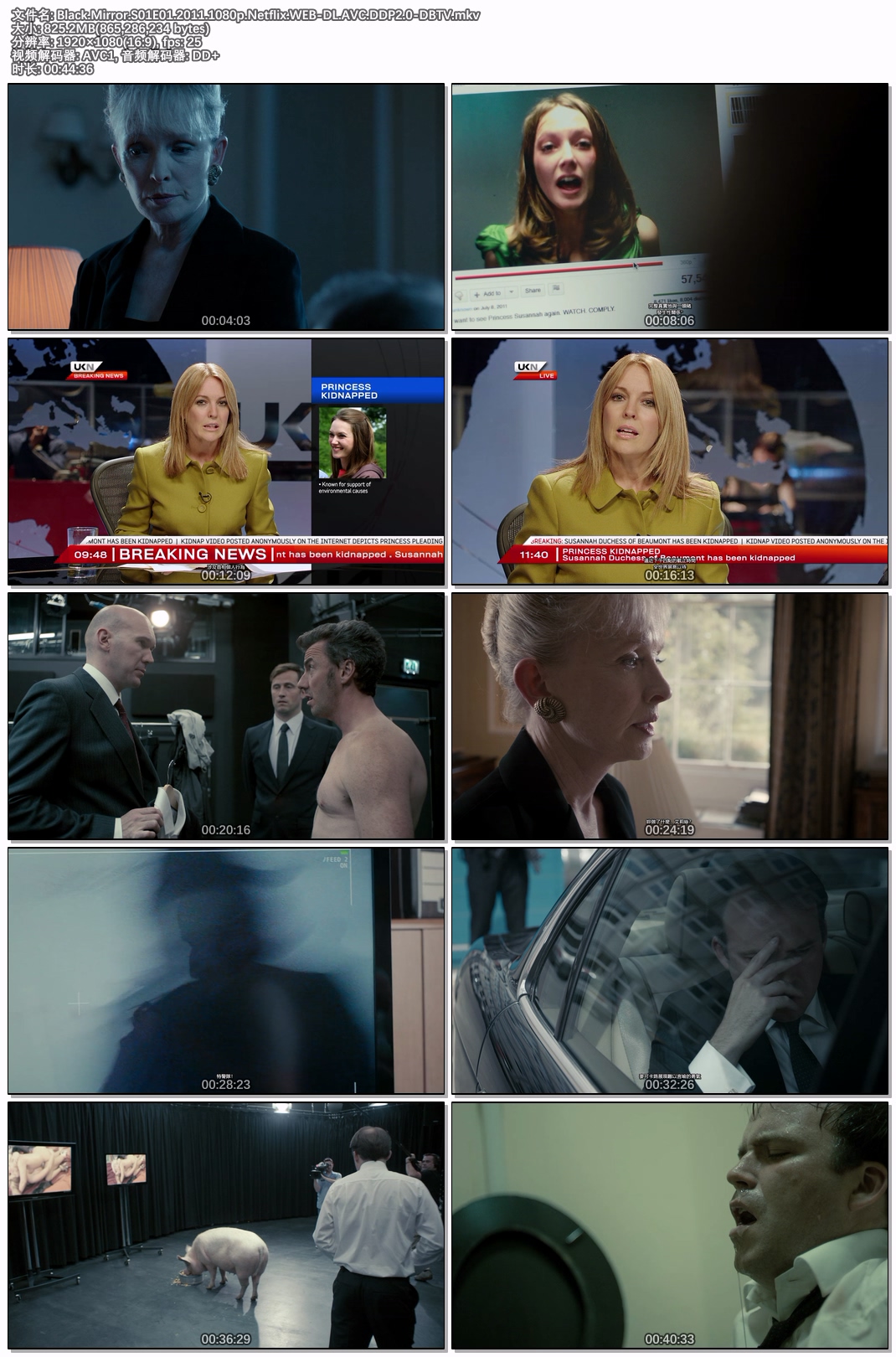 Black.Mirror.S01E01.2011.1080p.Netflix.WEB-DL.AVC.DDP2.0-DBTV.jpg
