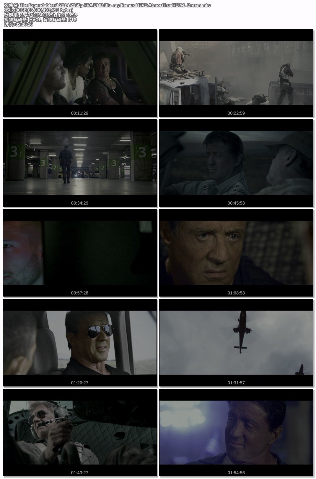 The.Expendables.3.2014.2160p.FRA.UHD.Blu-ray.Remux.HEVC.Atmos.TrueHD7.1-Dream.jpg