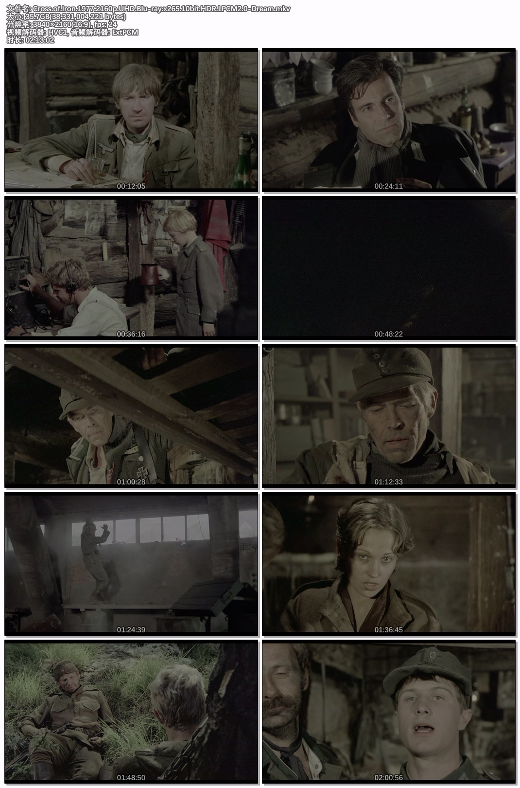 Cross.of.Iron.1977.2160p.UHD.Blu-ray.x265.10bit.HDR.LPCM2.0-Dream.jpg