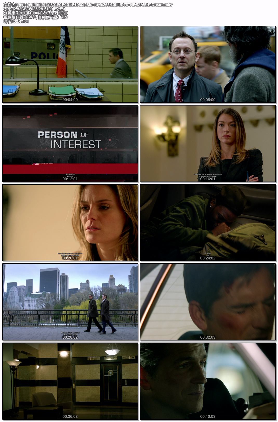 Person.of.Interest.S01E01.2011.1080p.Blu-ray.x265.10bit.DTS-HD.MA.5.1-Dream.jpg