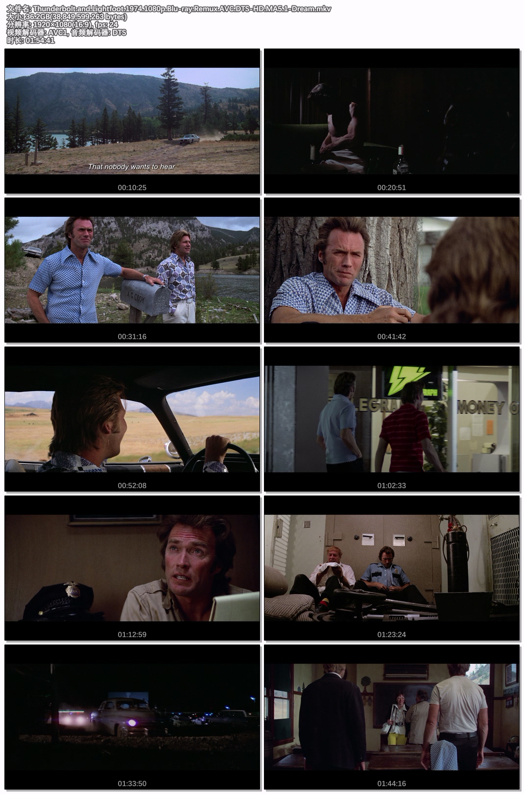 Thunderbolt.and.Lightfoot.1974.1080p.Blu-ray.Remux.AVC.DTS-HD.MA5.1-Dream.jpg