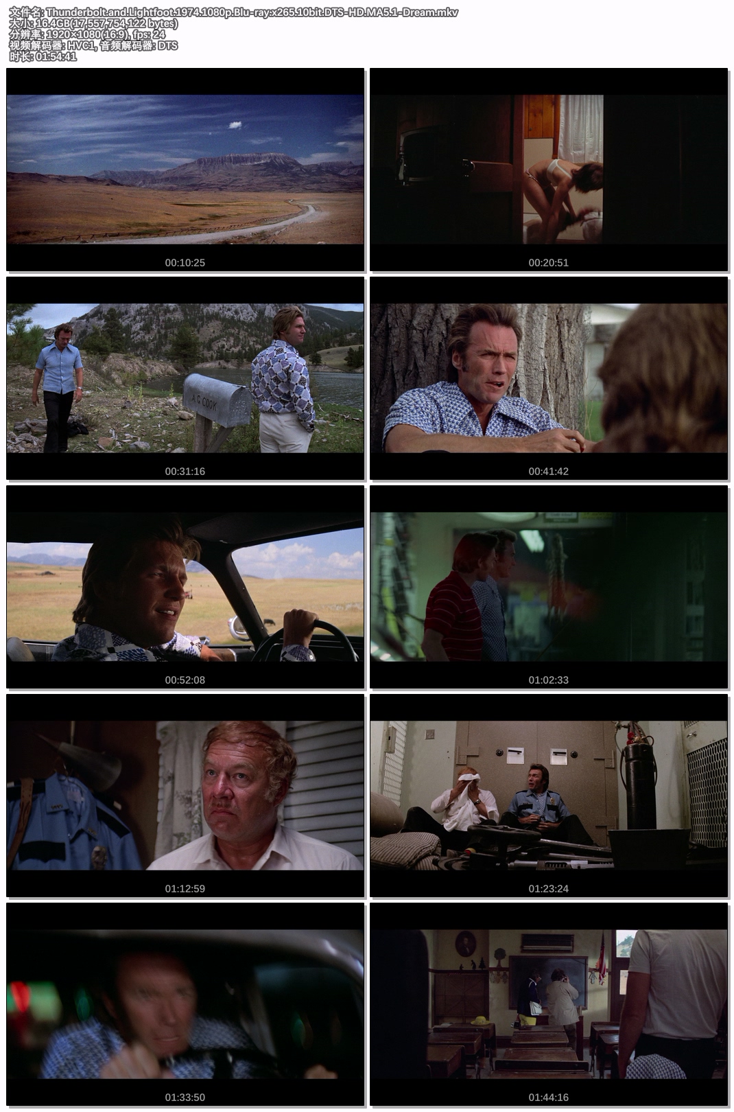 Thunderbolt.and.Lightfoot.1974.1080p.Blu-ray.x265.10bit.DTS-HD.MA5.1-Dream.jpg