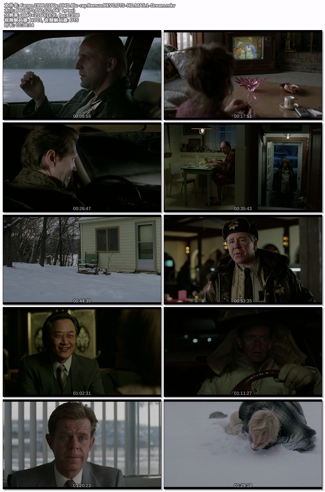 Fargo.1996.2160p.UHD.Blu-ray.Remux.HEVC.DTS-HD.MA5.1-Dream.jpg