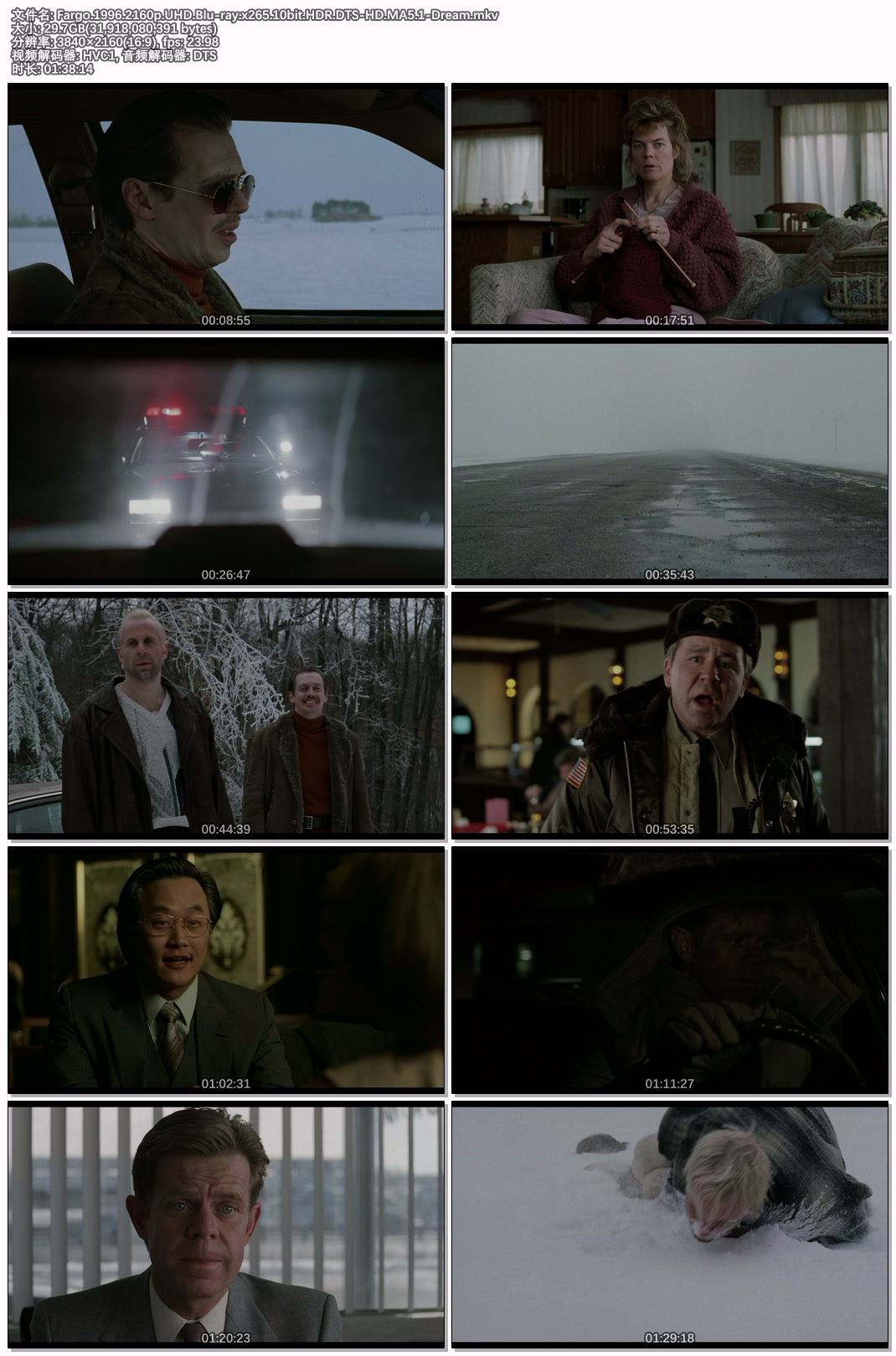 Fargo.1996.2160p.UHD.Blu-ray.x265.10bit.HDR.DTS-HD.MA5.1-Dream.jpg