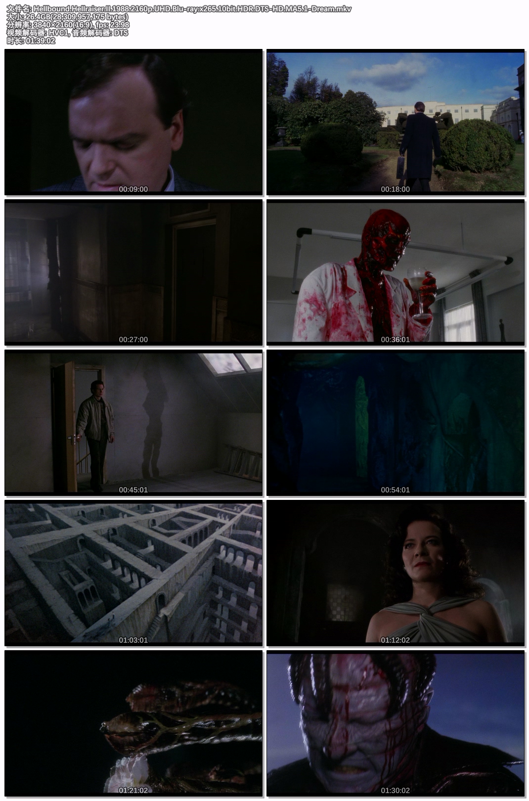 Hellbound.Hellraiser.II.1988.2160p.UHD.Blu-ray.x265.10bit.HDR.DTS-HD.MA5.1-Dream.jpg